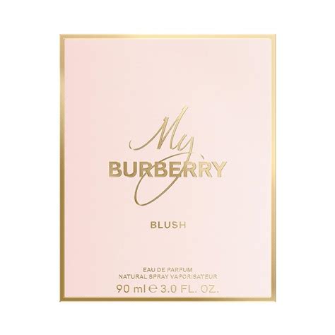 burberry blush perfume singapore|burberry blush perfume chemist warehouse.